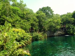 Snorkelling Cenote