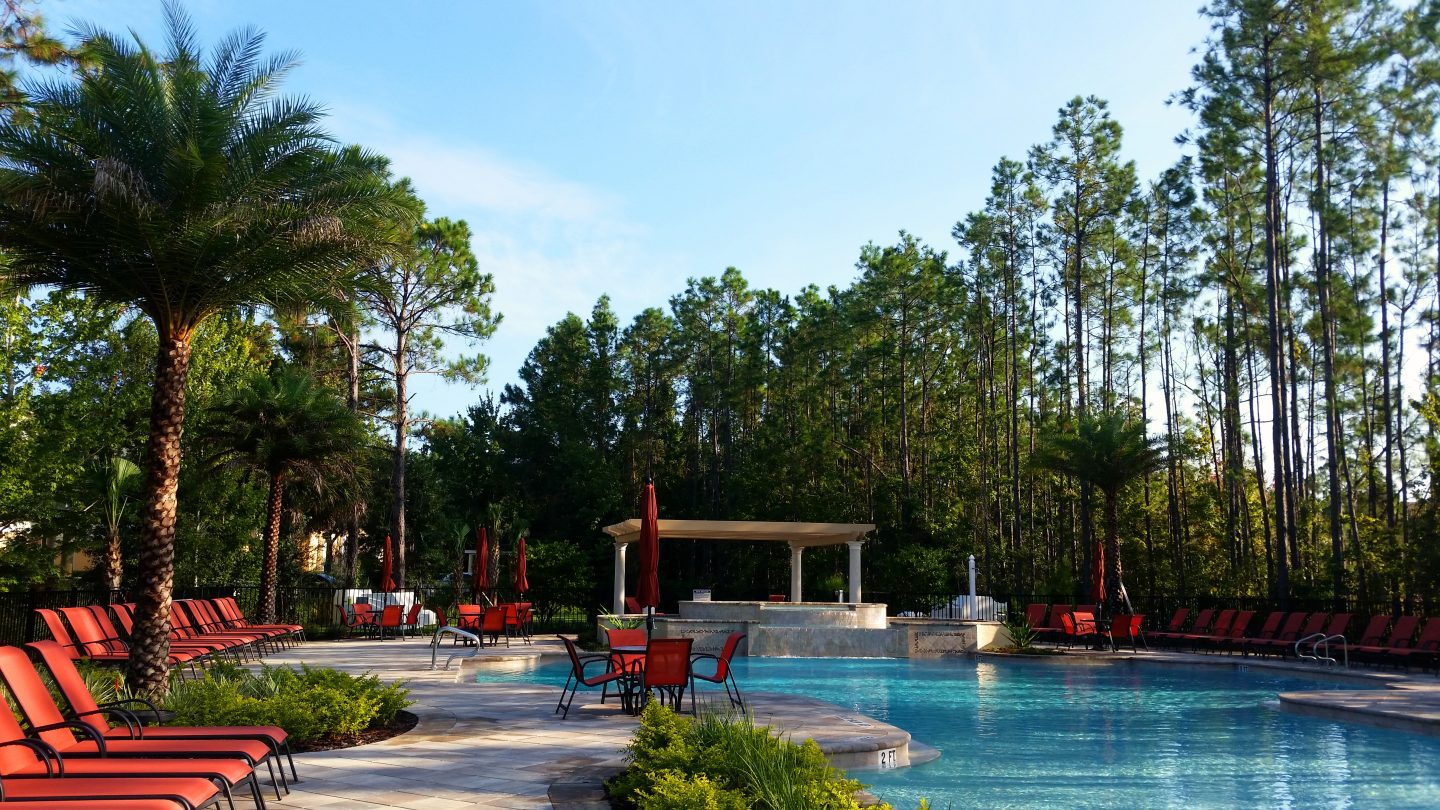 pool n palms