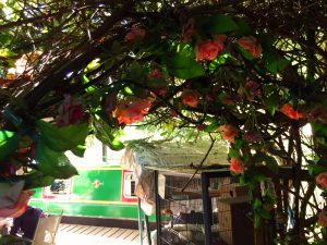 rose arch