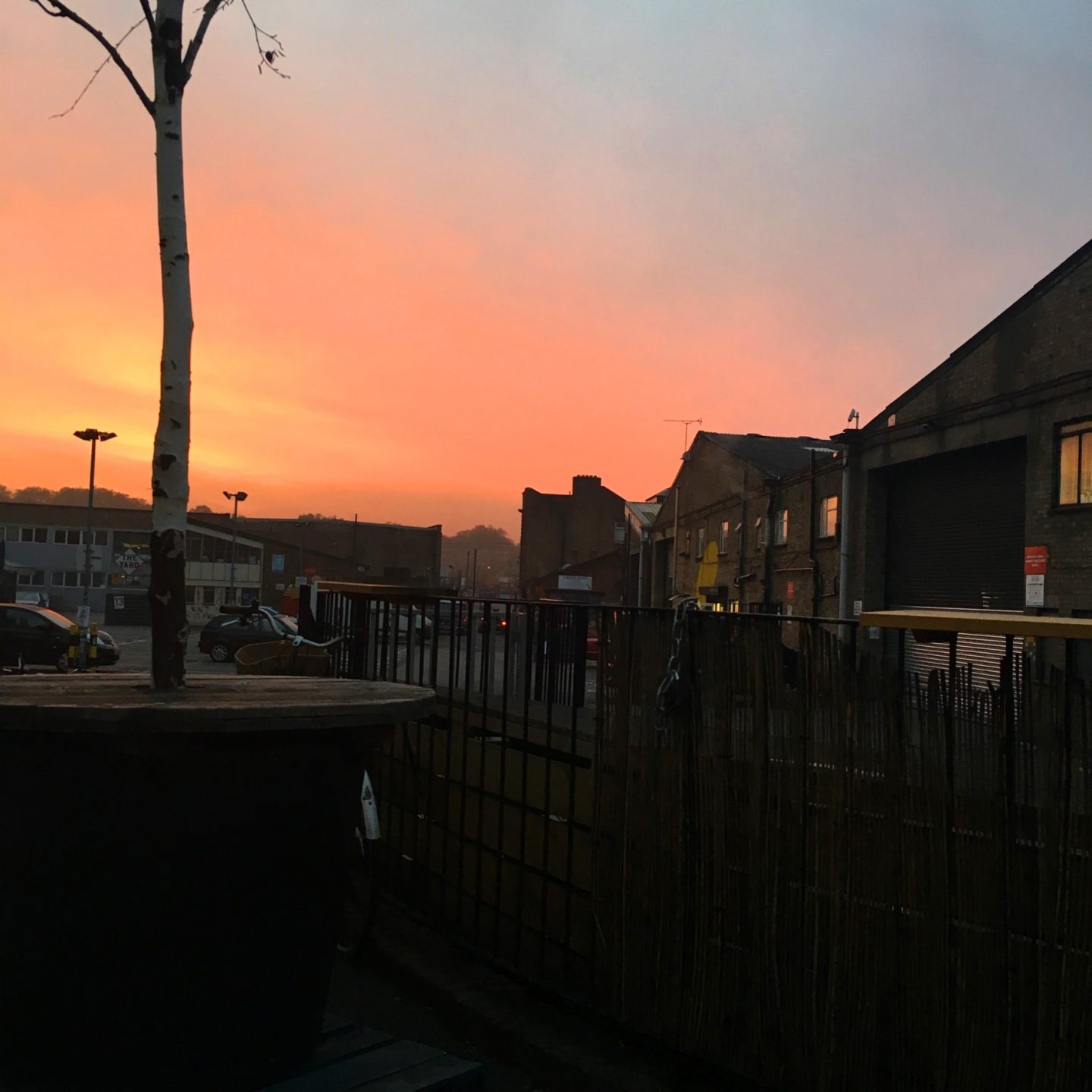 sunset