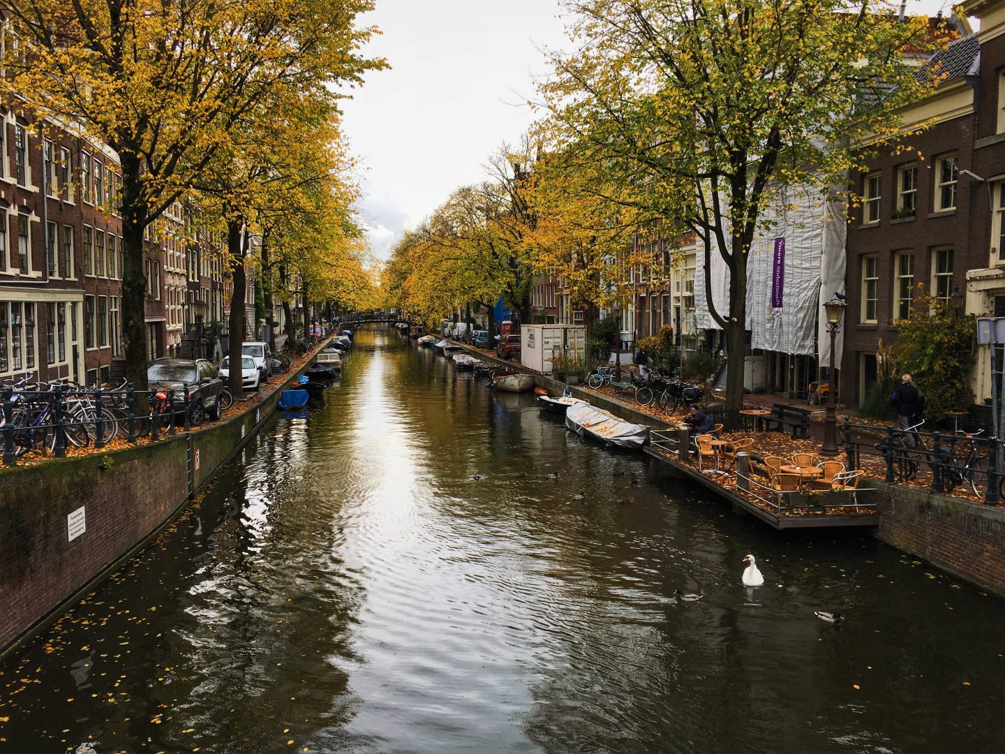 Bizarrely Beautiful: Autumnal Amsterdam