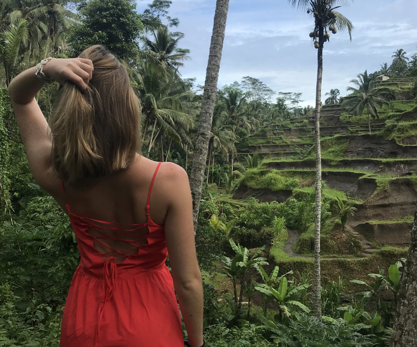 Ubud Secrets: Waterfalls, Rice Terraces, Hostels and Vegan Food